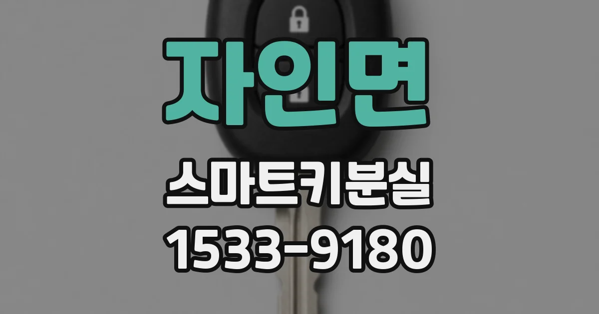 자인면 스마트키분실