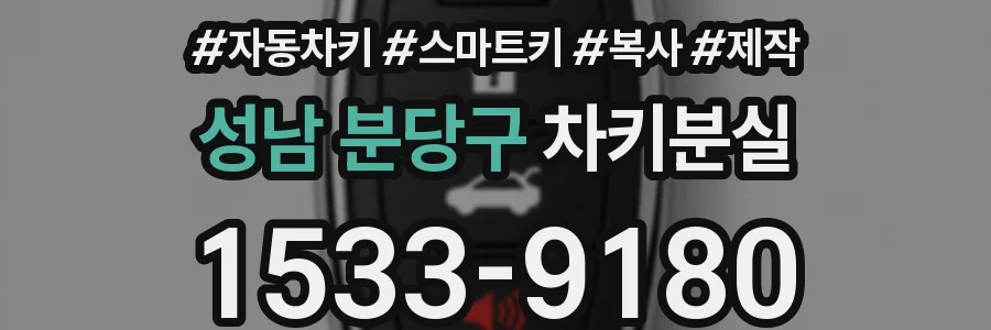 성남 분당구 차키분실