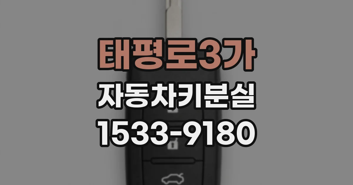 태평로3가 자동차키분실