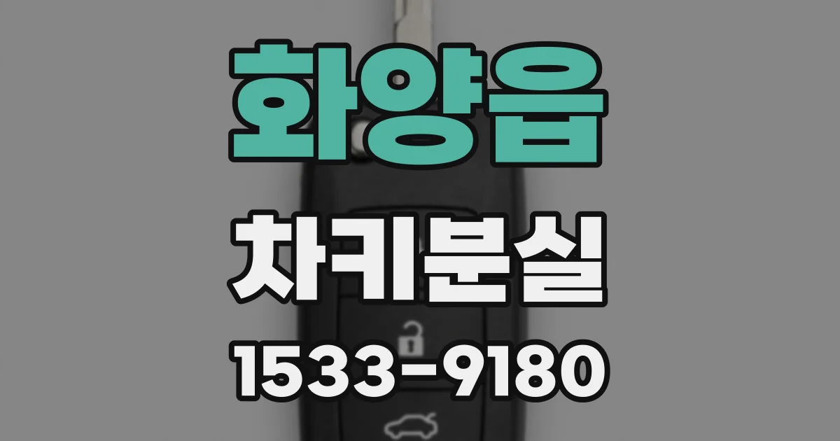 화양읍 차키분실