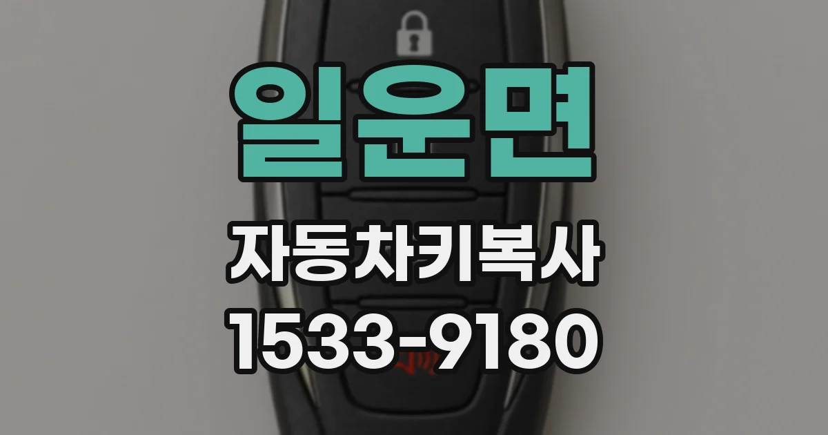 일운면 자동차키복사