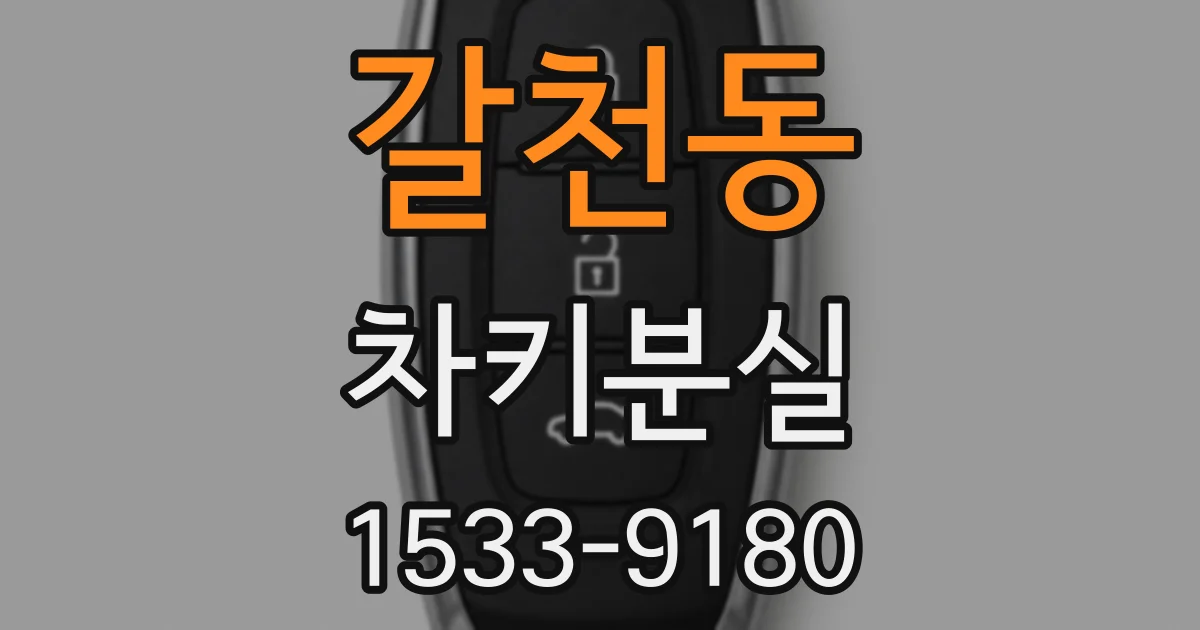 갈천동 차키분실