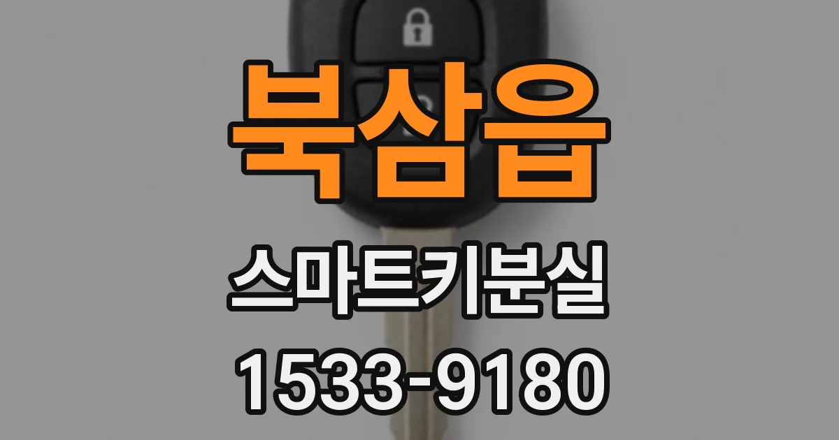 북삼읍 스마트키분실