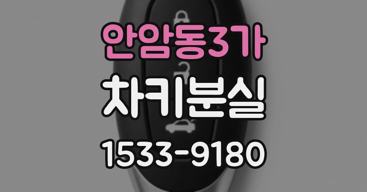 안암동3가 차키분실
