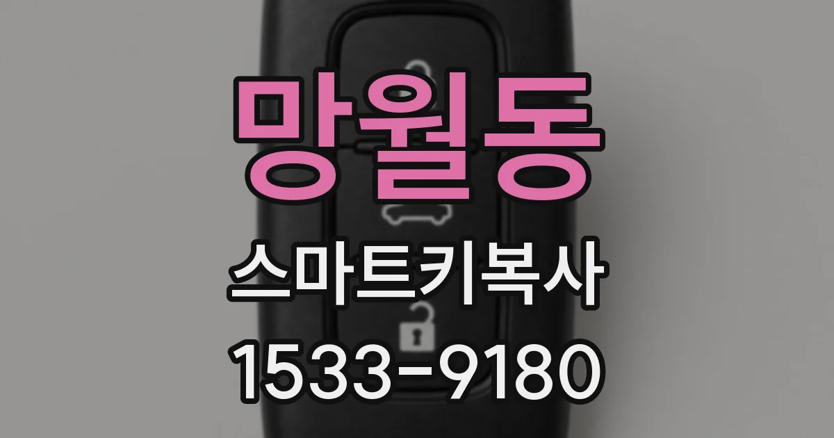 망월동 스마트키복사
