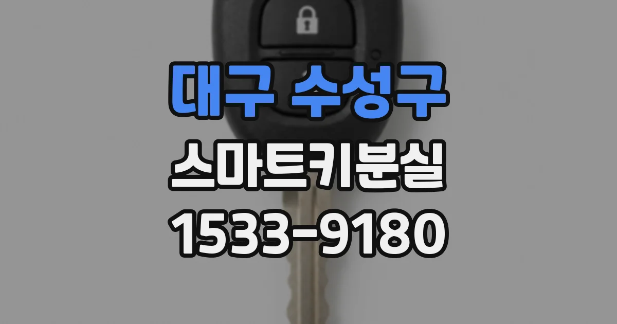 대구 수성구 스마트키분실