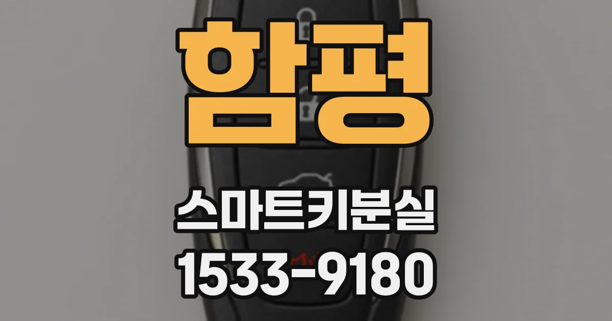 함평 스마트키분실