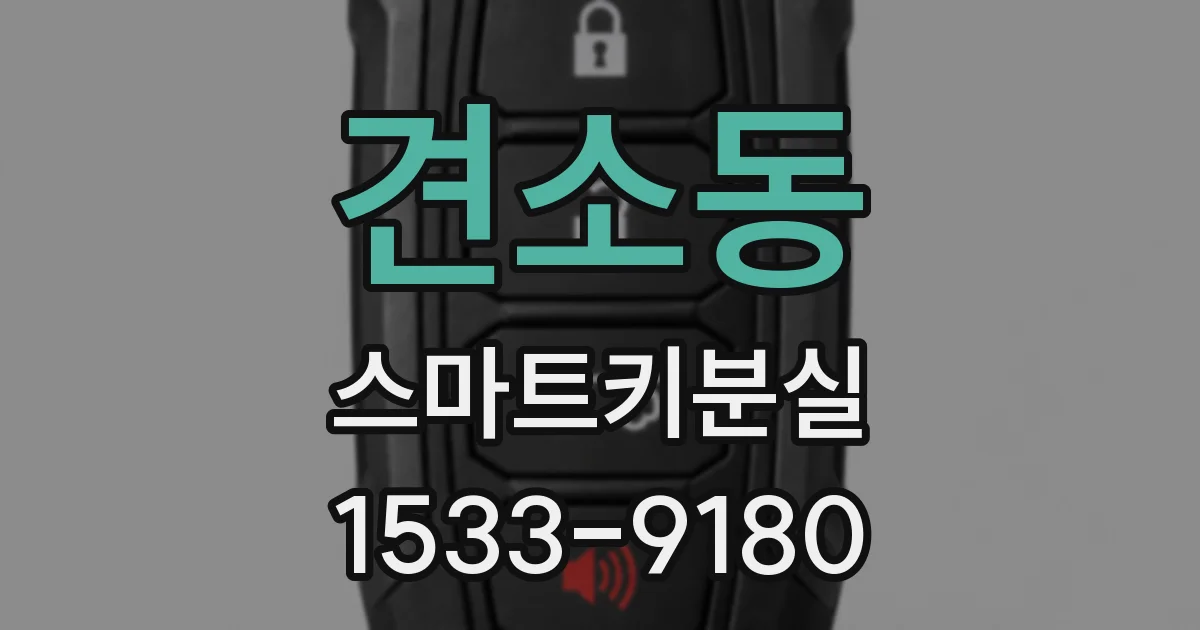 견소동 스마트키분실
