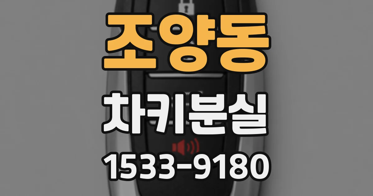 조양동 차키분실
