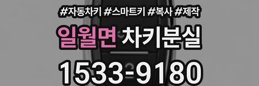 일월면 차키분실
