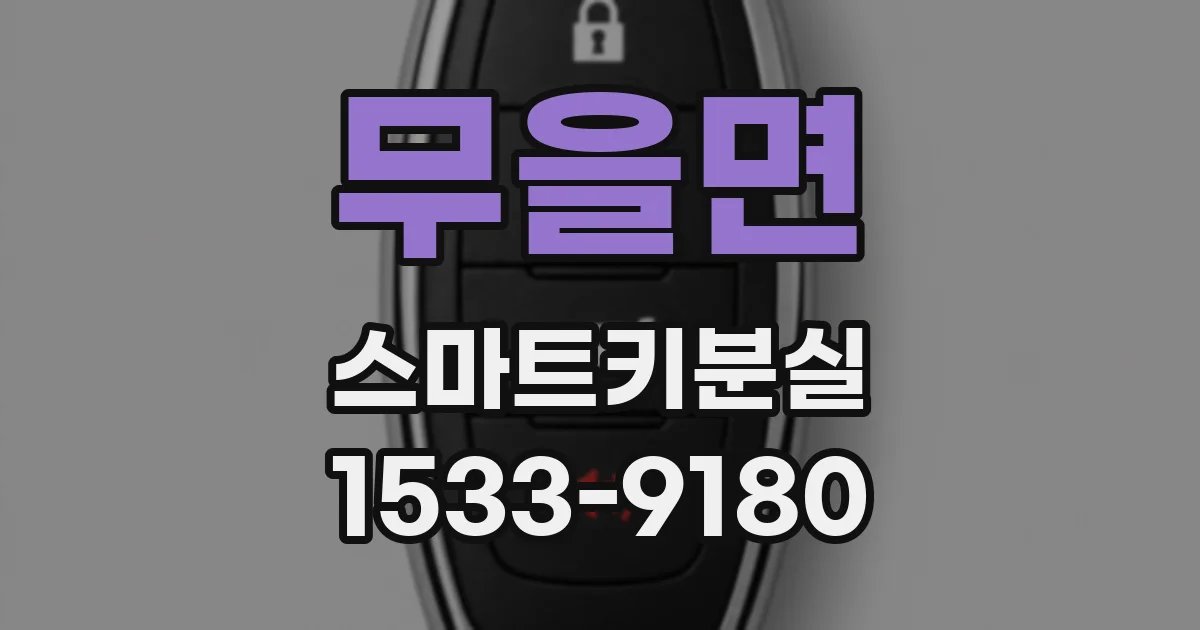 무을면 스마트키분실