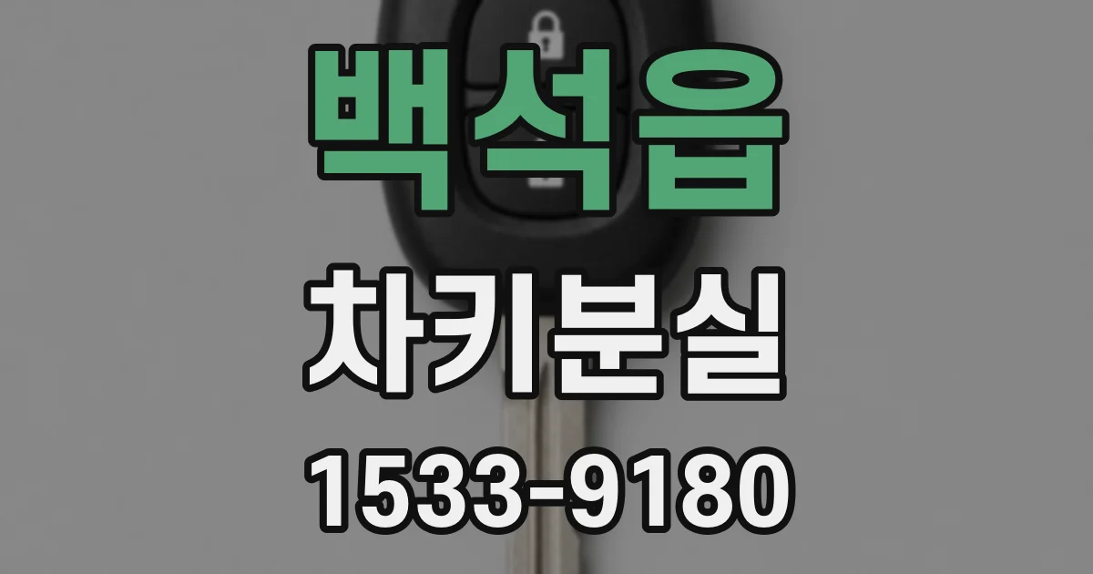 백석읍 차키분실