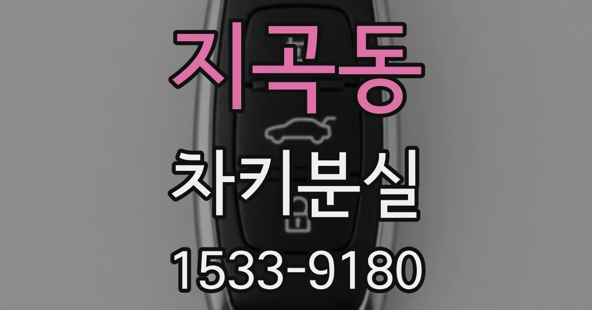 지곡동 차키분실