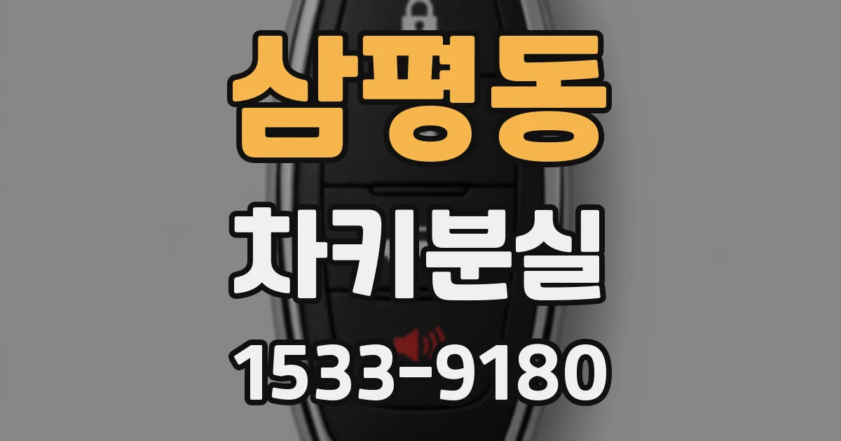 삼평동 차키분실