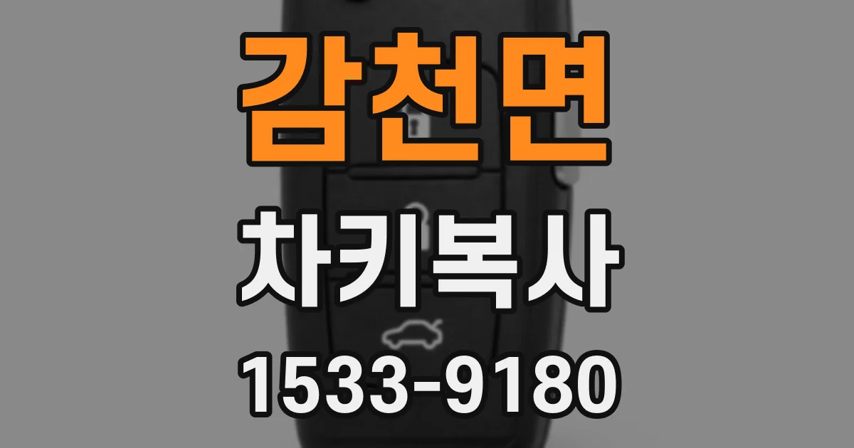 감천면 차키복사