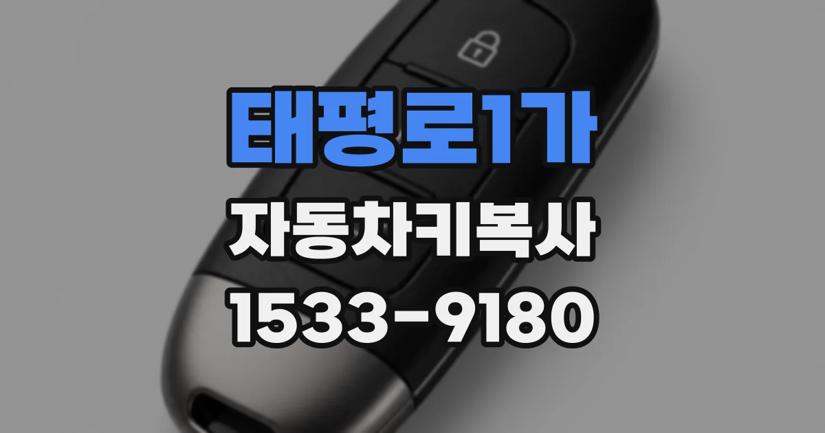 태평로1가 자동차키복사