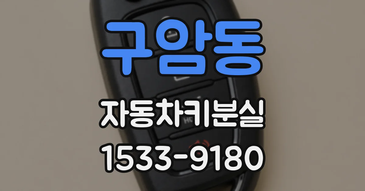 구암동 자동차키분실