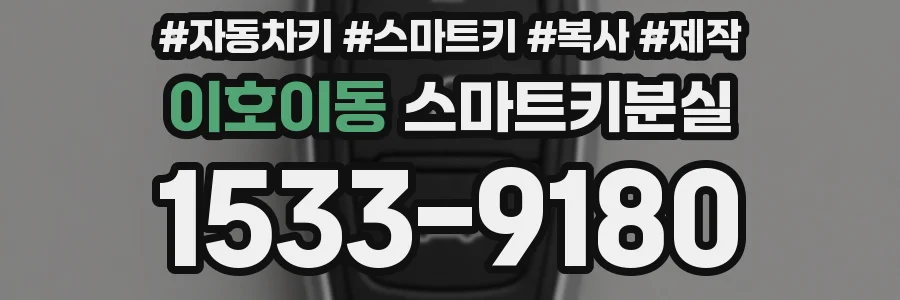 이호이동 스마트키분실