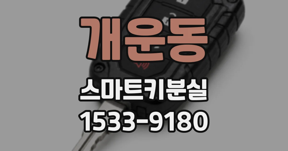 개운동 스마트키분실