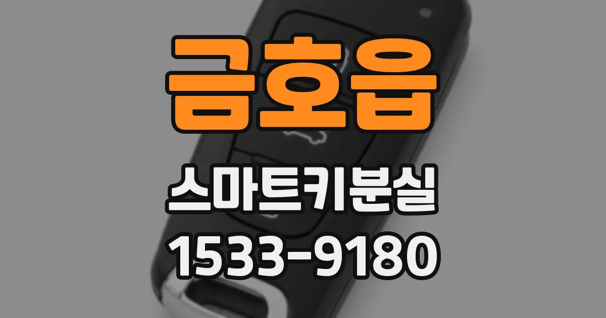 금호읍 스마트키분실