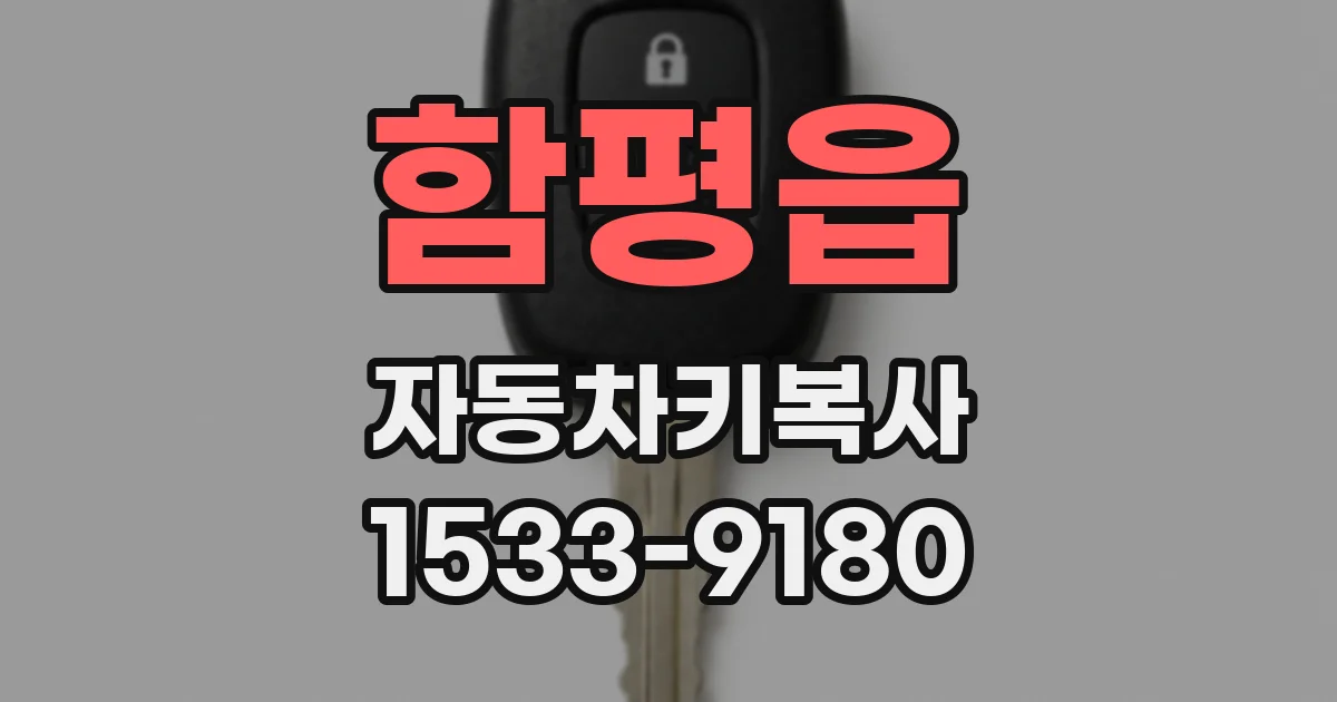 함평읍 자동차키복사