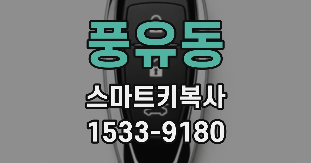 풍유동 스마트키복사
