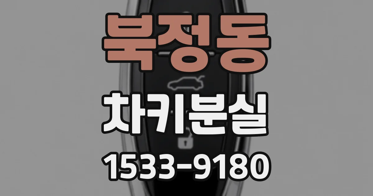 북정동 차키분실