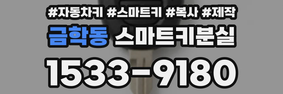 금학동 스마트키분실