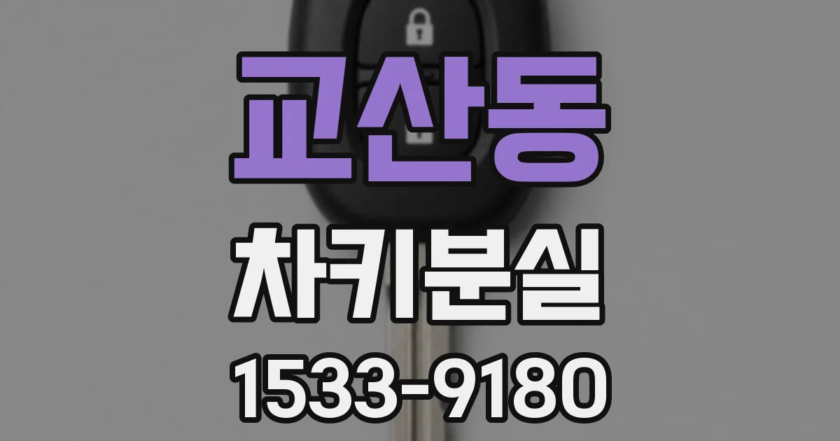 교산동 차키분실