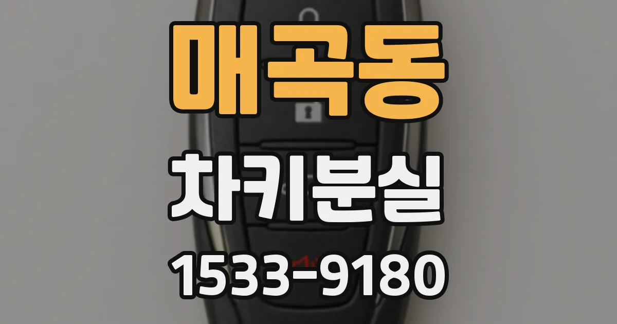 매곡동 차키분실