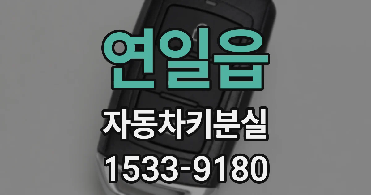 연일읍 자동차키분실
