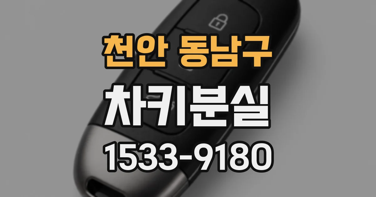 천안 동남구 차키분실