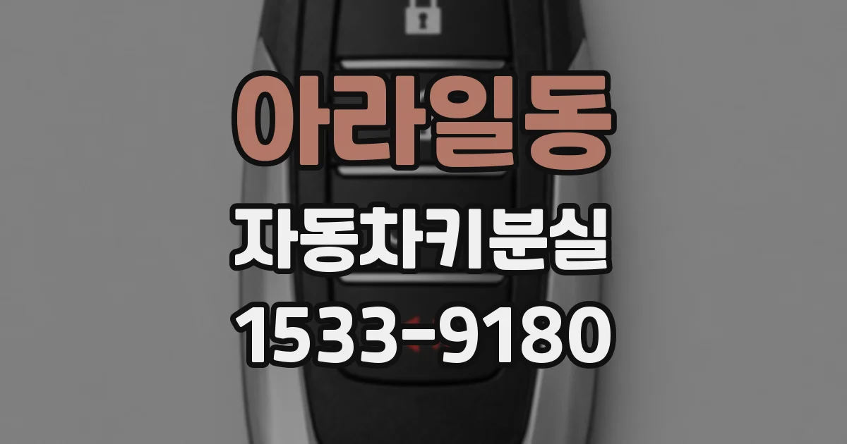 아라일동 자동차키분실