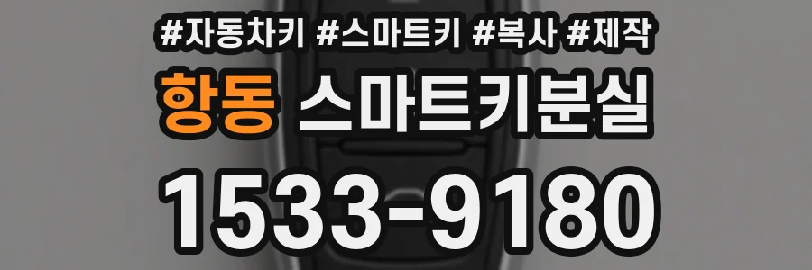 항동 스마트키분실