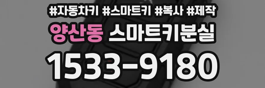 양산동 스마트키분실