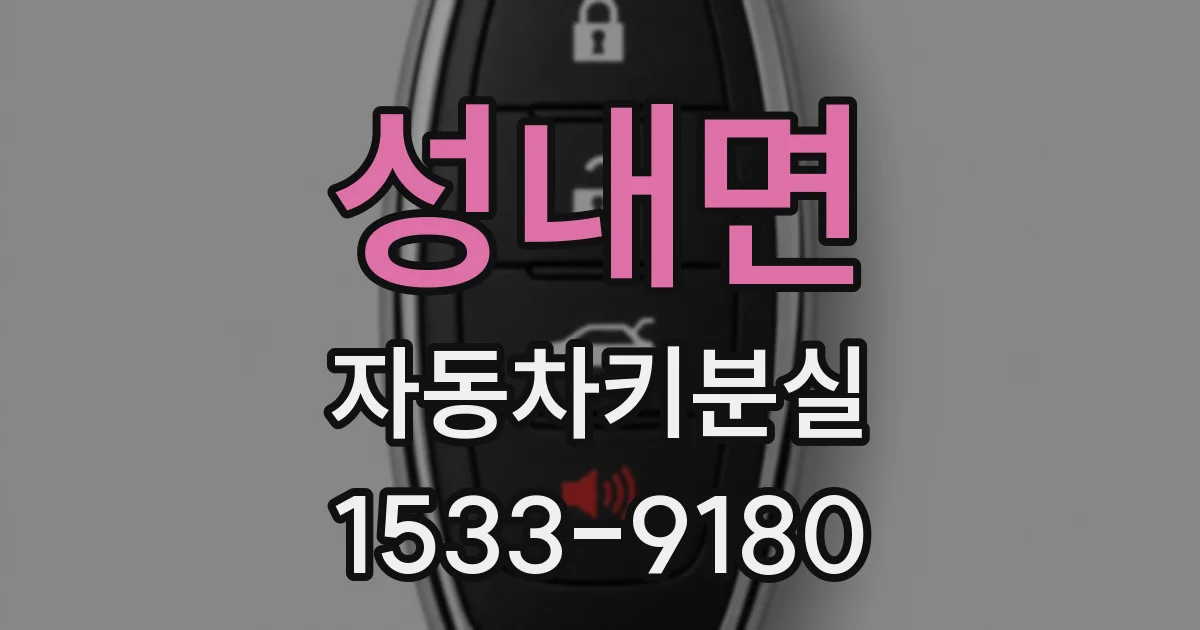 성내면 자동차키분실