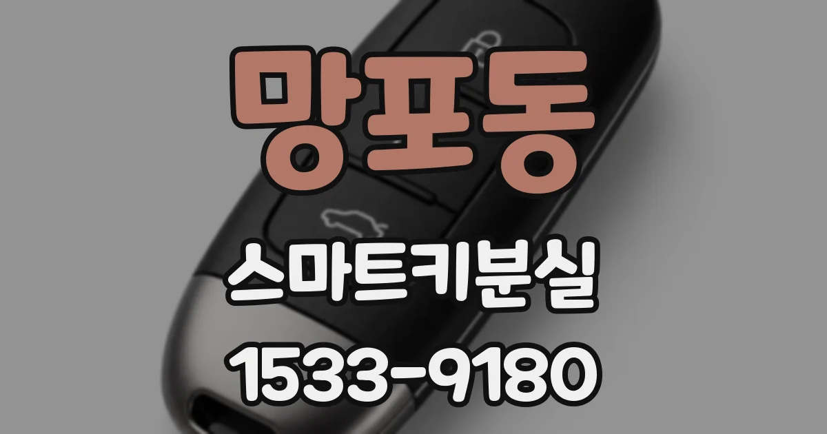 망포동 스마트키분실