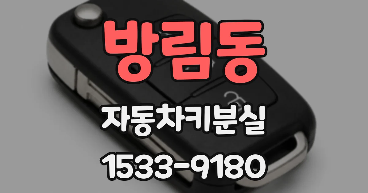 방림동 자동차키분실
