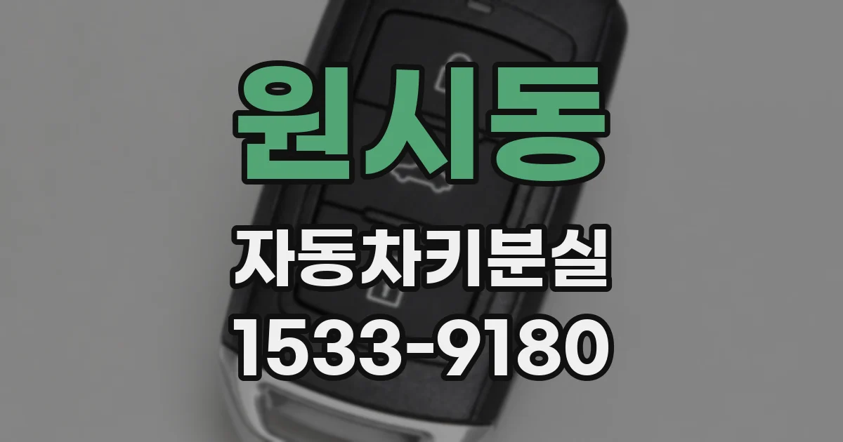 원시동 자동차키분실