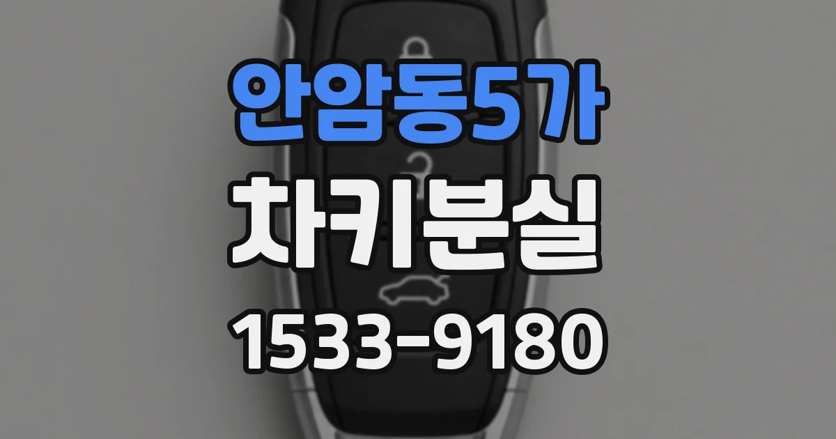 안암동5가 차키분실
