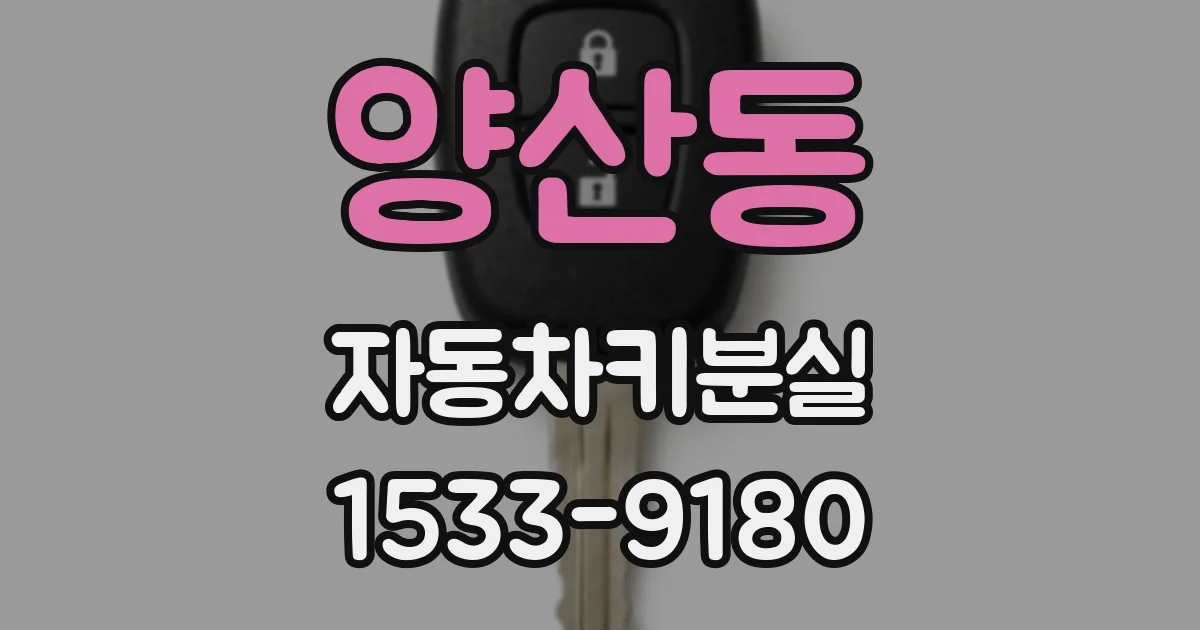 양산동 자동차키분실