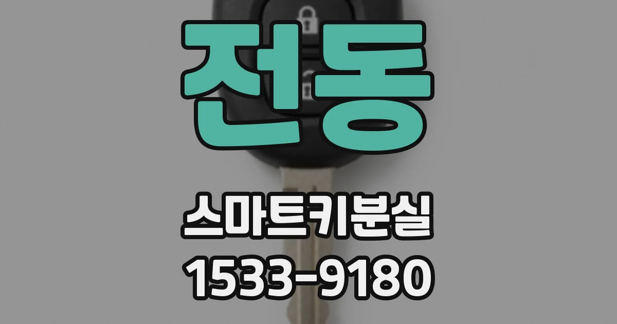 전동 스마트키분실