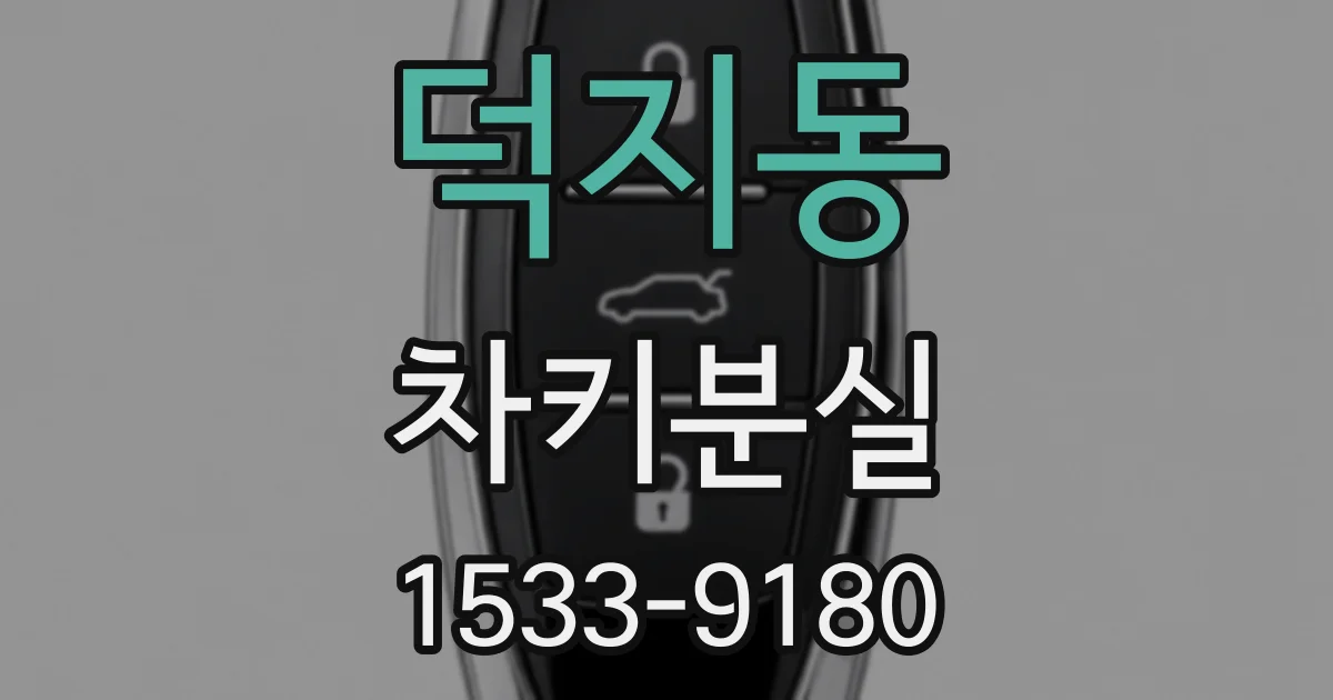 덕지동 차키분실