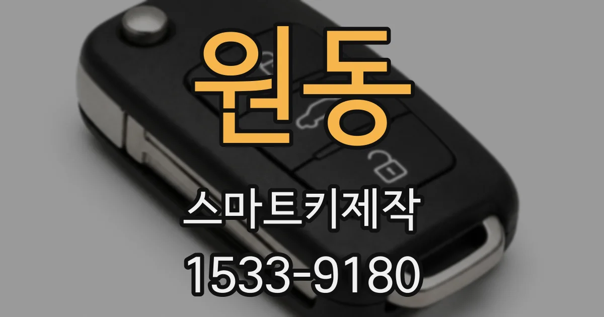 원동 스마트키제작