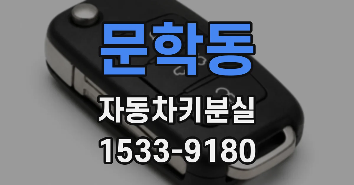 문학동 자동차키분실