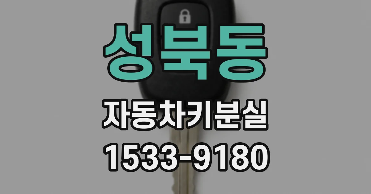 성북동 자동차키분실