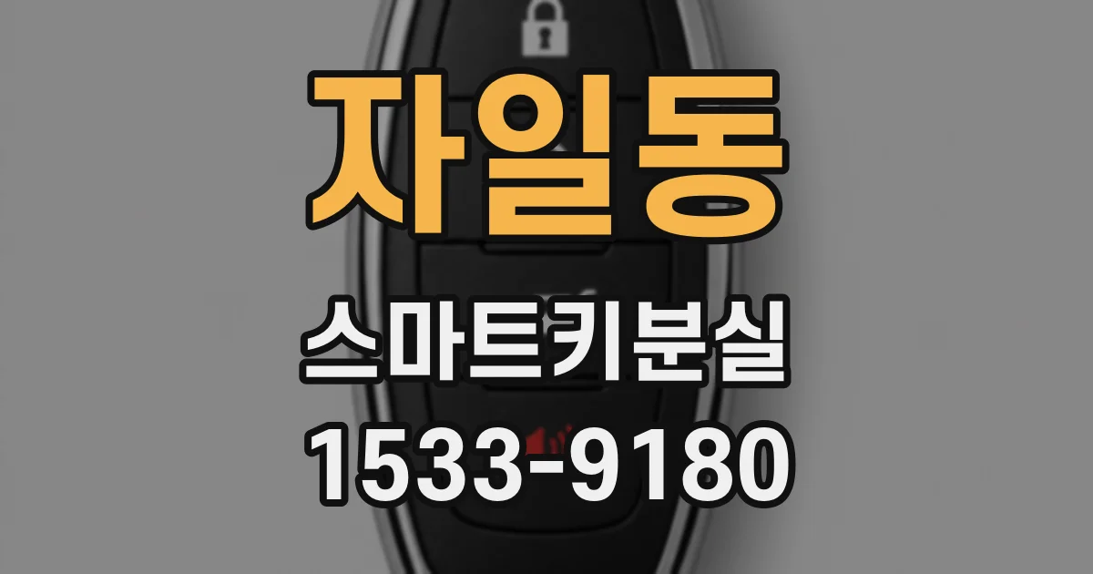 자일동 스마트키분실