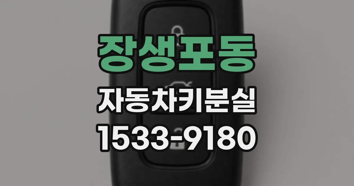 장생포동 자동차키분실
