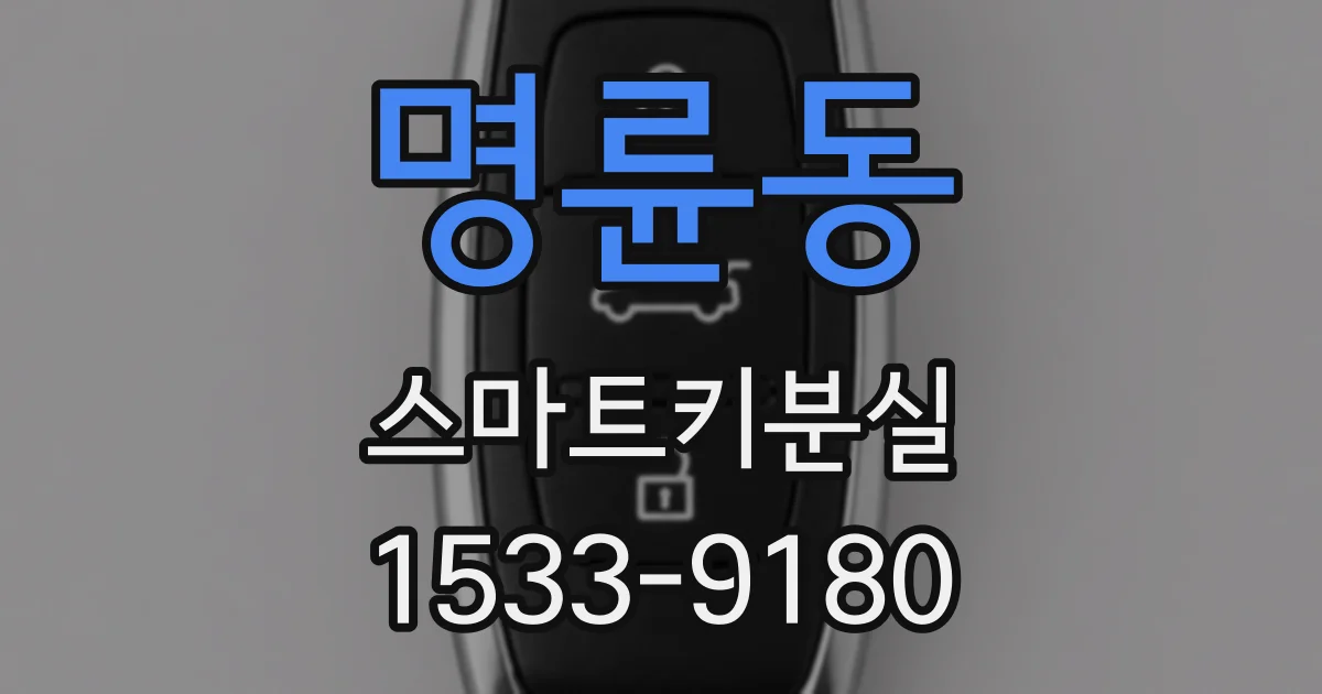 명륜동 스마트키분실
