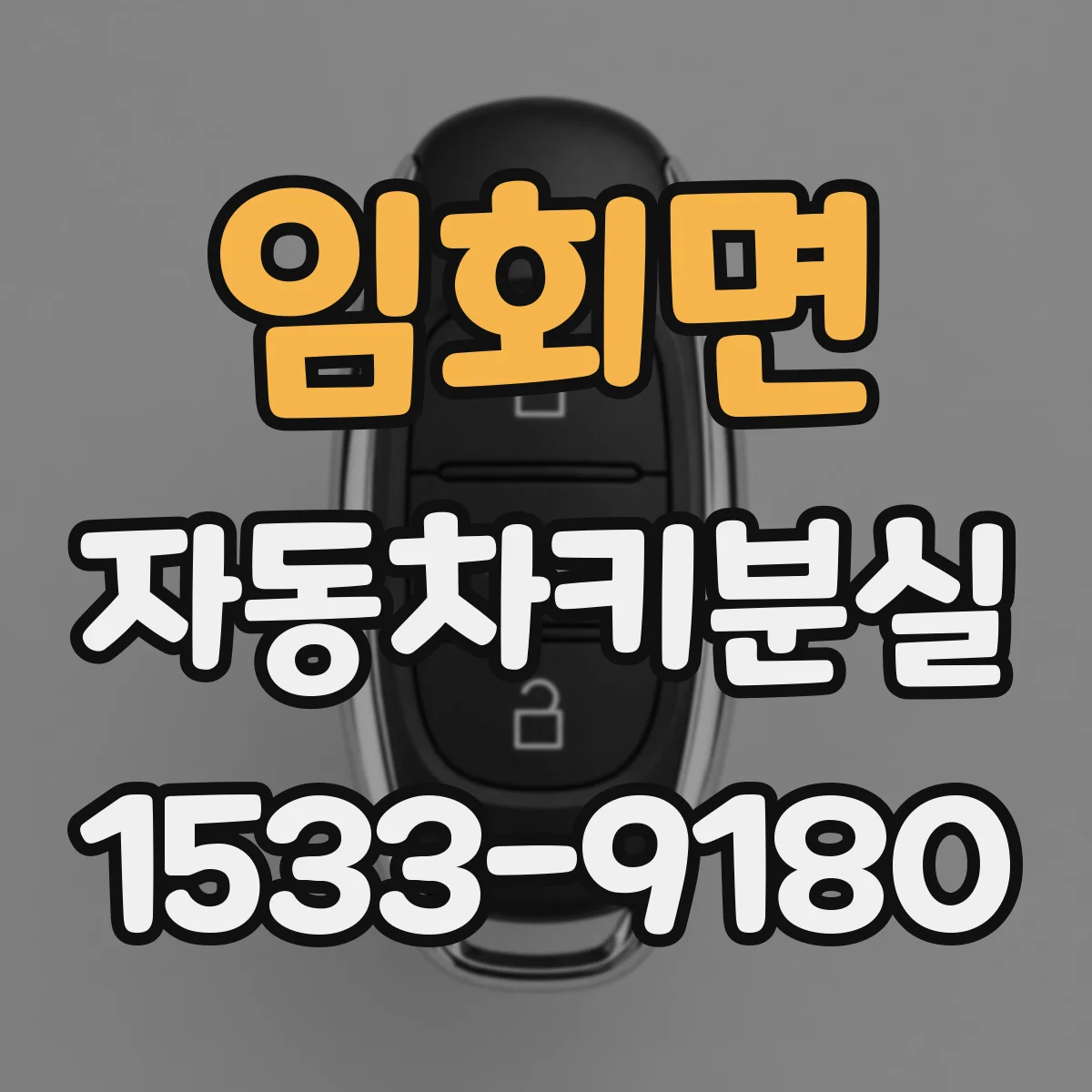 임회면 자동차키분실